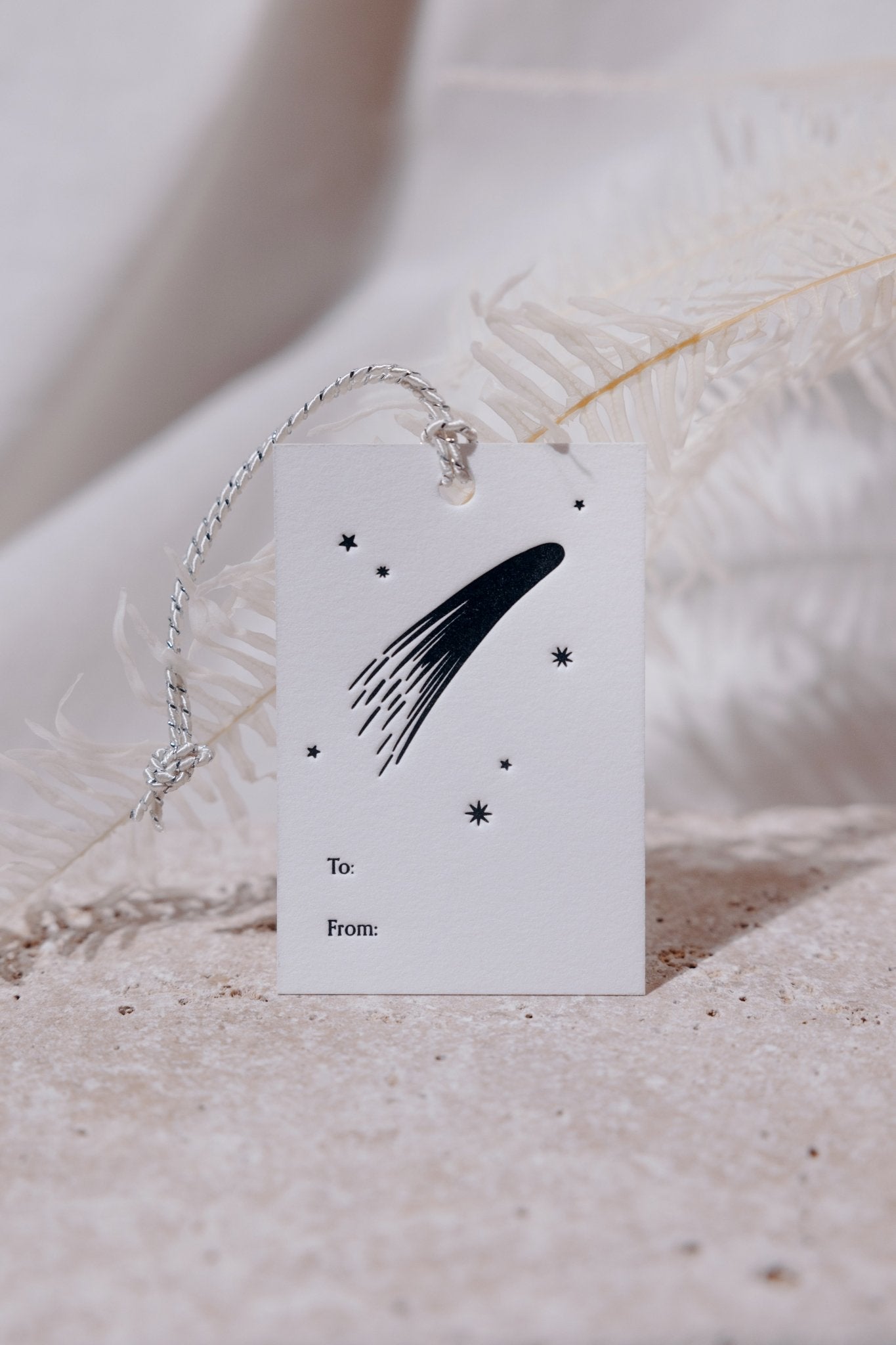 A single Adelfi letterpressed gift tag with a comet and stars and the words "to" and "from" in black ink on cream card stock leaning against a white fern on a gray background.