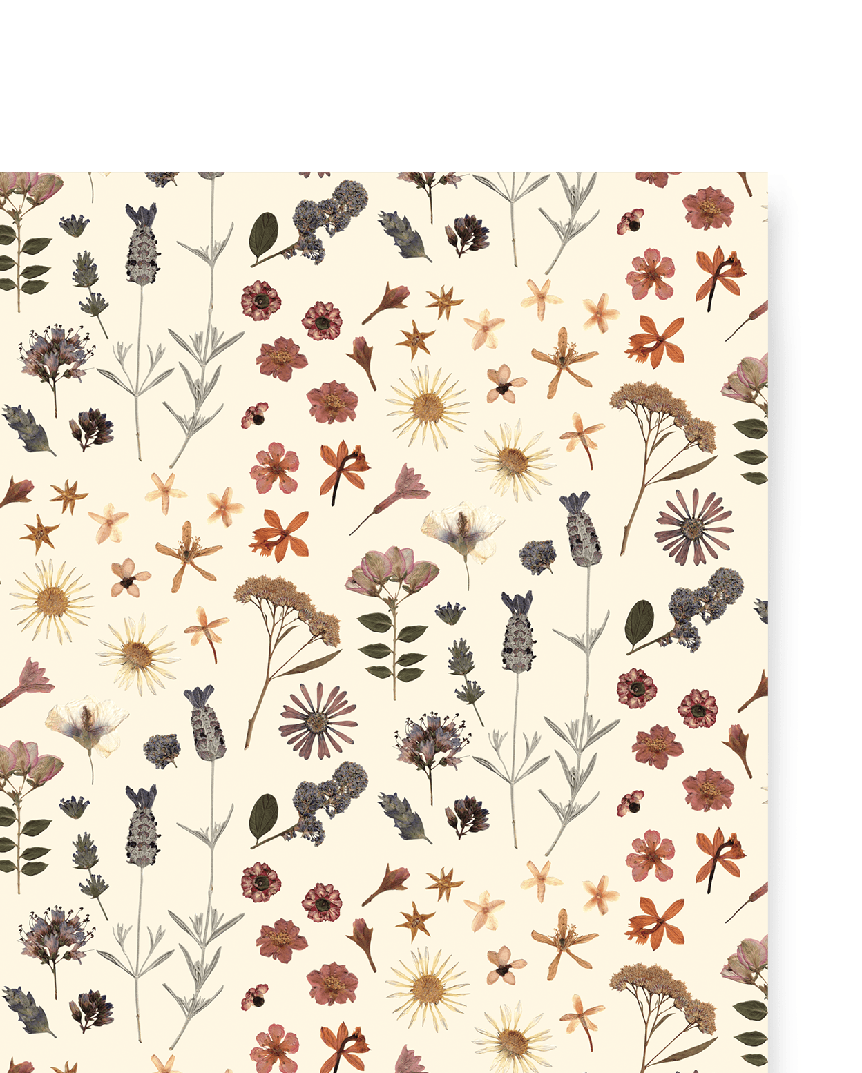 Pressed Flowers Gift Wrap