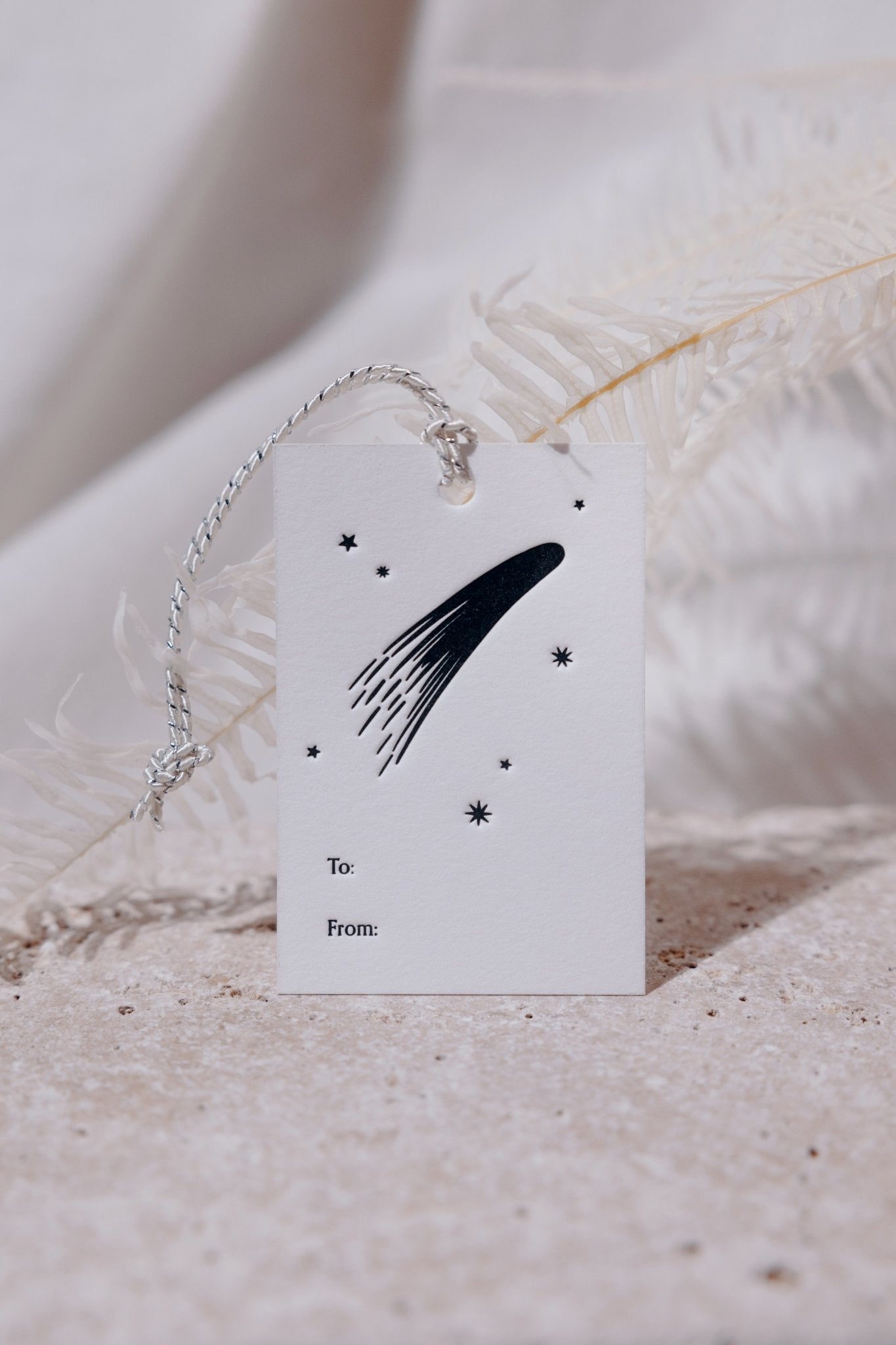 A single Adelfi letterpressed gift tag with a comet and stars and the words "to" and "from" in black ink on cream card stock leaning against a white fern on a gray background. 