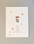 The back of the Adelfi "Congratulations" card with the brand logo and a few scattered pressed flowers.