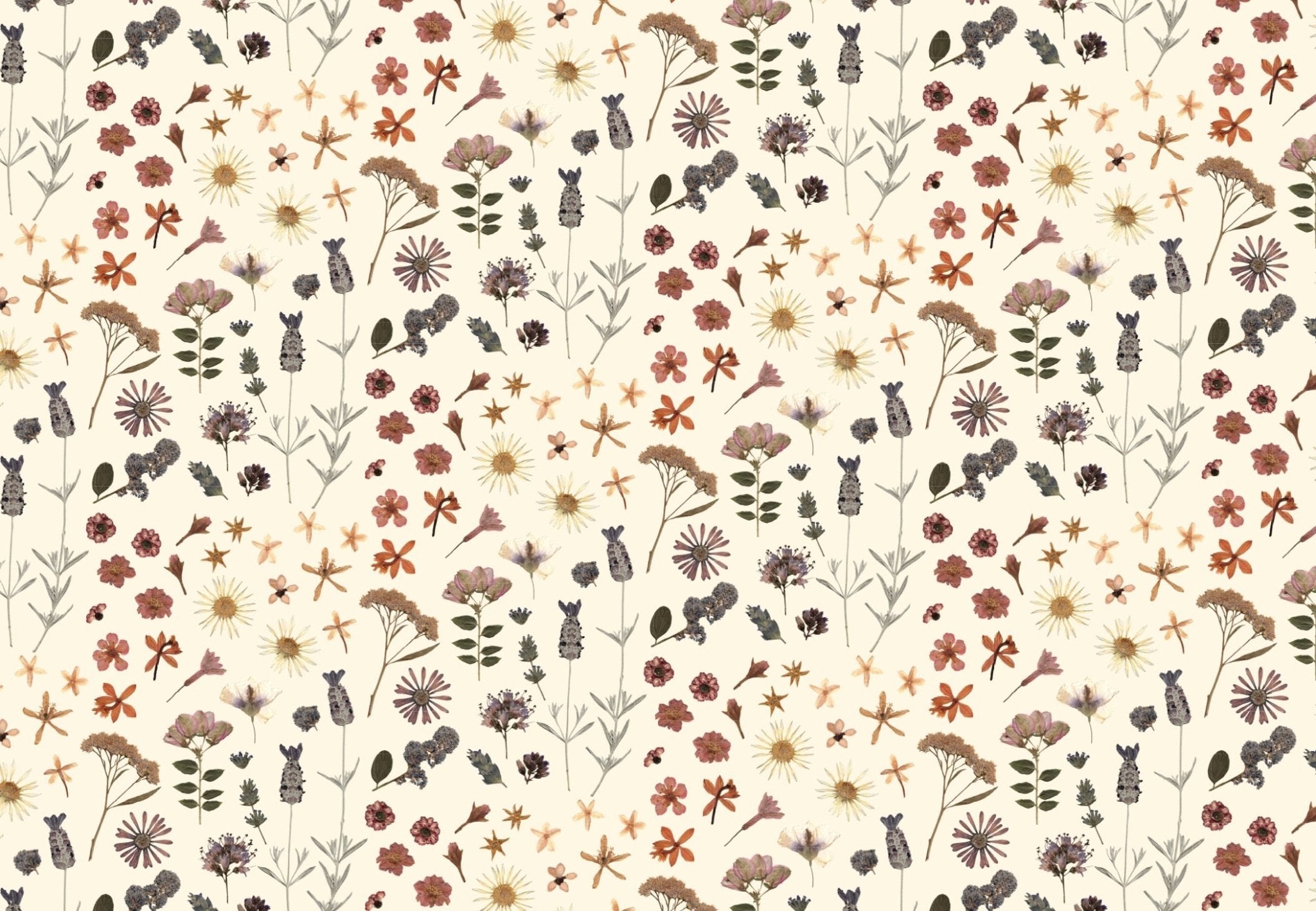 Adelfi gift wrap featuring a dried flower pattern scattered on a cream background.
