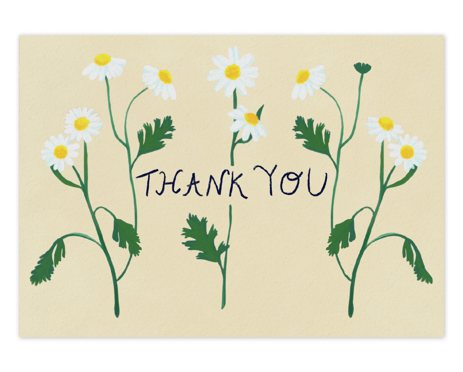  Three stems of lively white forest flowers cover the card nearly top to bottom horizontally, with the words &quot;Thank You&quot; going through the center of them in black ink. This design is printed on a cream colored background. 