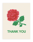  Cream colored background featuring a big red rose with a green stem and leaves, below it is written in green-colored font "Thank You" printed on cardstock against a white background.